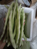 京鲜生山东新鲜白芸豆净重1.5斤装白不老新鲜蔬菜源头直发包邮 实拍图