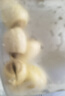 方家铺子中华老字号 莲子400g 湘潭磨皮白莲子去芯 百合桂圆银耳羹食材 实拍图