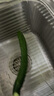 安井潮汕风味牛肉丸 400g 1包 火锅食材麻辣烫关东煮空气炸锅丸子 实拍图