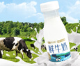 天润新疆产地 鲜牛乳3.8g巴氏杀菌鲜奶家庭生鲜装950ml*2瓶 实拍图