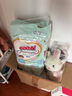 大王【品牌直供】花信风拉拉裤XL40片(12-17kg)婴儿加大号超薄透气 实拍图