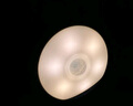 Yeelight易来感应夜灯光控LED光感灯喂奶起夜氛围灯床头橱柜地脚灯 充电感应夜灯【支持人感】 实拍图