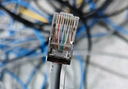山泽 六类免压水晶头 6类千兆免打网线接头 Cat6工程级8P8C免工具RJ45电脑网络连接器 单个装 MD61B 实拍图