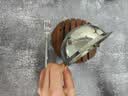半物生活304不锈钢小碗儿童盆圆形汤盆单层汤碗宝宝辅食碗食品级婴儿饭碗 实拍图