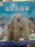 DK科普立体书系列：极地大奇观 3-6岁（启发出品） 实拍图