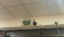 纽曼ai监控摄像头室外1600万家用监控无线wifi网络手机远程监控器360度无死角带夜视全景旋转云台户外 实拍图
