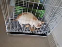 憨憨宠猫笼折叠猫笼子大号猫别墅加粗加密双层猫舍猫窝宠物猫咪用品家用 白色 600双层 实拍图