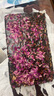 福茗源茶叶花草茶 平阴玫瑰干花瓣花茶 食用花瓣玫瑰花瓣泡水喝罐装30g 实拍图
