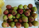 【产地直采】妃子笑荔枝1.5kg（单果16g起） 实拍图