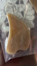 中稳堂牛角刮痧板经络刷面部脸部提拉颈背腿部全身按摩神器可搭刮痧精油 实拍图