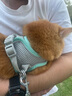 网易严选全价冻干双拼猫粮幼猫成猫天然无谷猫粮7.2kg 实拍图