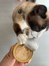 多特思（DOTUS）猫罐头主食餐盒湿猫粮奶糕成幼猫全期全价营养68g*6罐猫饭金饭碗 实拍图