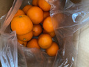【热销】湖北秭归脐橙鲜果上市 带箱9斤75-80mm 实拍图