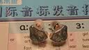 NICEHCK 原道 DB2圈铁入门新声入耳式HiFi耳机0.78可换线发烧友有线安卓手机带麦线控K歌游戏高音质耳塞 【DB2】-珊海蓝无麦 实拍图