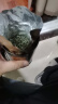 乐品乐茶头采芽特级碧螺春绿茶2025新茶明前嫩芽茶叶礼盒装长辈送领导250g 实拍图