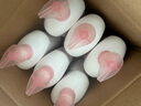 滴露（Dettol）洗手液滋润500g*6 抑菌洗手液家庭装大桶儿童消毒无酒精温和护手 实拍图