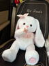 威尔通（WELTSTON）毛绒玩具布娃娃抱枕安抚玩偶儿童生日礼物女生 小白兔子公仔60cm 实拍图