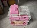 喜帅 仓鼠木屑垫料原味 兔子木削锯粉金丝熊荷兰猪龙猫垫材垫料1kg 实拍图
