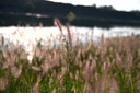 尼康（Nikon）【价保11.11】Z 50mm f/1.8 S 全画幅 微单 定焦镜头 尼康镜头 人像/风景/旅游 实拍图