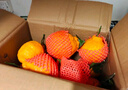 生活＆好管家四川丑橘不知火特大果新鲜水果桔橘子丑柑丑八怪整箱 4.5-5斤【超划算】净重4.5斤 果径65-70mm【小果】 实拍图