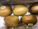 佳沛（zespri）新西兰  阳光金奇异果25-27粒原箱特大果单果约122-146g  猕猴桃 实拍图