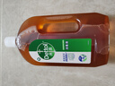 滴露（Dettol）消毒液消毒水1.2L衣物除菌液家居宠物环境地板杀菌除螨 非84酒精 实拍图