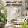 艾美特（AIRMATE）【语音控制】七叶家用大风量落地扇电风扇台式空气循环小风扇6档暴风定时电扇高清屏显 FS30-SR99 实拍图
