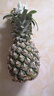 广东徐闻香水菠萝新鲜水果生鲜热带孕妇水果整箱包邮 【限时低价】1个装  单果650g起 实拍图