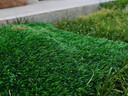假草皮仿真草坪绿色地毯户外人造塑料人工仿生室外隔热围挡足球场 3厘米新升级加密加厚春草 【1.5米宽/1米长】需要几米长拍几米 实拍图