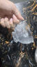 【采销推荐】复古浮雕太阳花杯玻璃早餐家用牛奶杯大容量燕麦水杯 透明色 230ml 【单只装】 实拍图