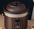 九阳（Joyoung）电炖锅电炖盅5L大容量紫砂预约电砂锅 多功能锅 智能定时精炖煮粥煲汤锅DG50Z-GD510 实拍图