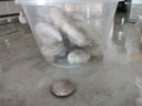 今聚鲜（dayinfresh） 大号国产翡翠白虾仁1000g 活剥去虾线 冷冻海鲜水产 生鲜 实拍图