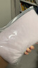 婧麒（JOYNCLEON）收腹带产后产妇专用顺产剖腹产束腹修复塑身蚕丝 紫XXL Jsf151647 实拍图