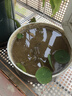 德沃多肥料荷塘泥2.6kg园艺种植基质水生植物营养土花土荷花碗莲睡莲专用土 实拍图