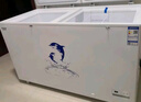 澳柯玛（AUCMA）560升家用商用大容量冰柜 卧式囤货大冰箱 冷藏冷冻转换单温顶开门冷柜 BC/BD-560TC 国家补贴 实拍图
