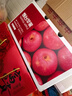 京鲜生 烟台红富士苹果 净重10斤  单果160g以上 水果礼盒 实拍图