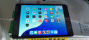 【二手95新】Apple ipad二手苹果平板电脑 迷你mini二手平版电脑国行 mini5 256G 实拍图