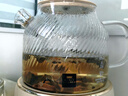 World Kitchen康宁养生壶全玻璃恒温壶煮茶壶煮茶器1L办公室必备家用花茶壶炖煮烧水壶电热水壶煮水壶（标准款） 实拍图