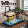 阔庭（KUOTING）鱼缸水族箱生态桌面鱼缸新款懒人鱼缸过滤制氧一体机黑色【大号】 实拍图