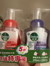 滴露（Dettol）洗手液泡沫樱桃250ml+兰花250ml 5秒抑菌儿童泡泡洗手液抑菌 实拍图