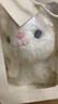 熊猫熊兔子玩偶毛绒玩具小女孩生日礼物女生儿童大布娃娃陪睡觉抱枕公仔 实拍图
