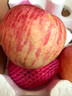 玫栀烟台红富士苹果山东栖霞新鲜孕妇吃的水果不打蜡一级脆甜当季整箱 75mm(含)-80mm(不含) 富士 5斤 A+精选果 实拍图