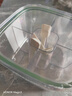 双枪（Suncha）多格调味罐家用厨房 盐调味罐收纳盒调料盒盐罐瓶绿色 实拍图