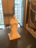 拓竹A1mini 3D打印机学生新手友好 儿童Steam教育 桌面家用FDM 全自动调平多色高速bambulab【大陆版】 A1 mini单机 实拍图