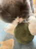 欢宠网 猫玩具猫咪猫薄荷球猫磨牙棒逗猫棒自嗨神器解闷木天蓼猫草粉猫零食蹭痒耐啃咬猫猫小猫幼猫宠物用品 实拍图