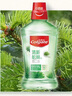 高露洁（Colgate）【孙颖莎同款】绿茶+薄荷+鲜果漱口水1500ml含氟深层清洁防蛀自营 实拍图