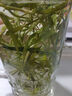 福东海 淡竹叶茶100克 淡竹叶煮水饮料 竹叶原材料茶可做祛汤膏茶叶 晒单实拍图