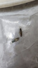 森悠（SARYOR）孔雀鱼纯种观赏鱼小型淡水好养热带鱼活体斑马金鱼凤尾鱼繁殖 孔雀鱼套餐1 实拍图