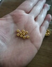 御邪足金999光面算盘珠隔断珠黄金垫片DIY手串手链金配饰 算盘珠:约0.15g（五颗） 实拍图