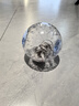 宠尚天 仓鼠跑球运动玩具外带出门金丝熊滚轮跑球水晶球跑球15cm 实拍图